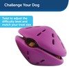 Busy Buddy Twist 'n Treat L, Interactive Treat Dispensing Dog