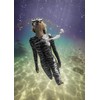 Slip Ins Dive Skins for Men and Women, Zippered Swim