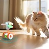 Cat Toys Cat Remote Control Toy, APP Bluetooth Connect Remote