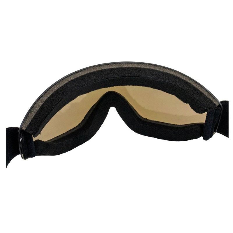 Birdz Eyewear Thrush Sport Snowboarding Skydiving Motorcycle Riding Goggles w/Blue