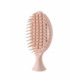 Scalp Care Travel (Brunt Coral) / 스칼프케어트래벌 (브런트코랄)