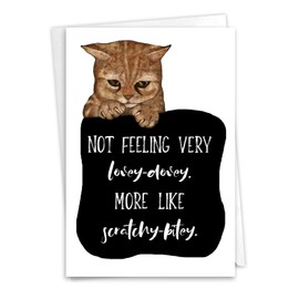 NobleWorks, Get Well Greeting Card with 5 x 7 Inch Envelope (1 Card) Cat Antics - Scratchy Bitey C3638FGWG