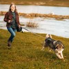 CROWN PAWS 16ft Retractable Dog Leash for Large Breed Dogs