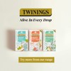 Twining Superblends Turmeric Tea - Orange & Star Anise Herbal