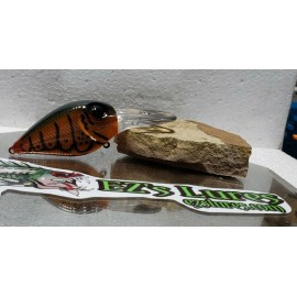 Ez's Lures Custom painted Deep Rattling Flat Wart (Moss green pumpkinseed)