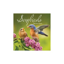 TURNER PHOTOGRAPHIC Songbirds Photo Mini Wall Calendar (25998950032)