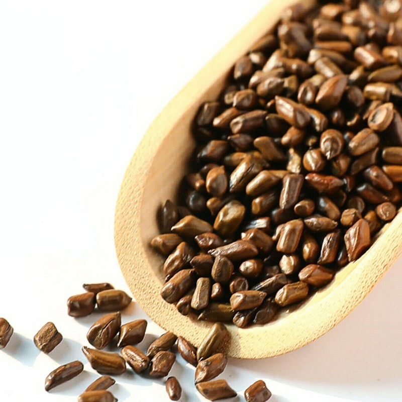 Cassia Nomame Tea Original Natural Juemingzi Herbal Tea 350g (2