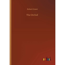 The Orchid