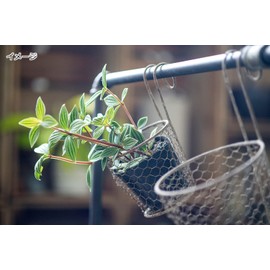 Wire Pot Cover L 62629