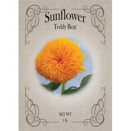 Black Duck Brand Set of Flower Seed Packets! Flower Seeds in Bulk - Great for Creating The Garden of Your Dreams! (50, Teddybear Sunflower)