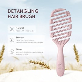 ecoed Cepillo Desenredante Degradable, Cepillo Desenredante, Cepillo Desenredante para Cabello Rizado, Grueso y Lacio, Desenredante Seco y Húmedo Dese