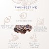 PHI FUNGI | Phungestive | Extracto de Cola de Pavo