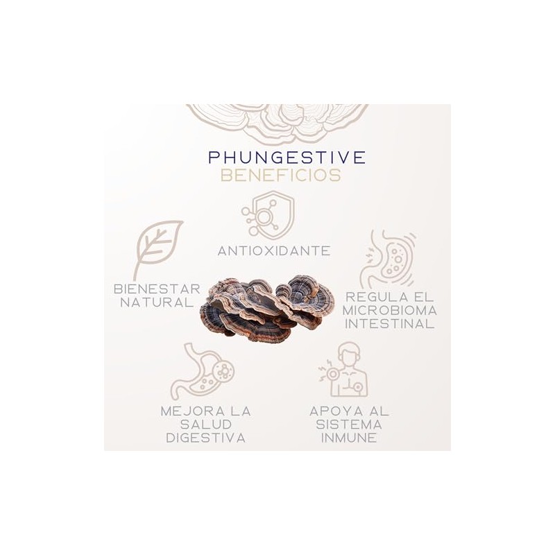 PHI FUNGI | Phungestive | Extracto de Cola de Pavo
