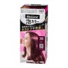 Foam Color 3B Bordeaux Brown (Quasi-Drug)