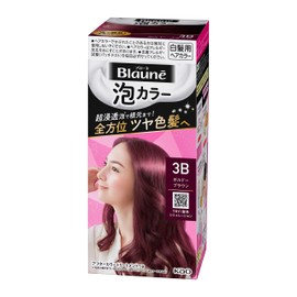 Foam Color 3B Bordeaux Brown (Quasi-Drug)