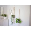 Artevasi Macrame Plant Hanger, Cotton, White