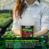 Medina Garrett Juice Plus -Liquid Plant Food & Fertilizer for