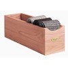 Woodlore Socks Box - Set of 2