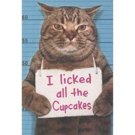 Recycled Paper Greetings Cat Mugshot: Licked all the Cupcakes Funny/Humorous Birthday Card