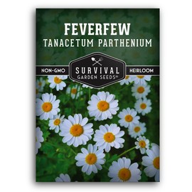 Feverfew Seeds for Planting - 1 Packet with Instructions to Plant and Grow Your Own Bachelor's Buttons in Your Home Vegetable or Herb Garden - Non-GMO Heirloom Variety - Survival Garden Seeds