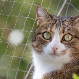 Pet Prime Cat Safety Net for Balcony Window Transparent Protective Net for Cats Pet Anti-escape Net Invisibel Safety Fence Include Fixing Set (4x3m)