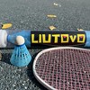 LIUTOVO 12 Packs Nylon Badminton Shuttlecocks Birdies Nylon Feather Shuttlecocks