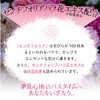 Secret Rose Bath Bath Additive Moisturizing Moist Foam Gift for