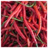 Everwilde Farms - 1/4 Lb Cayenne Long Red Hot Pepper