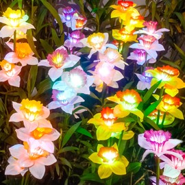 DooYard Solar Garden Lights, Color Changing Solar Daffodil Flower Lights, Upgraded Solar Panel, Solar Lights Outdoor for Garden Decoration,Yard Decor and Gift for Mother (4 Pack)