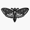 Deaths Head Moth - Silence of The Lambs Bumper Sticker