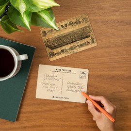 Paterson, New Jersey, (1880), Panoramic Map (4x6 Birch Wood Postcards, 2-Pack Stationary, Rustic Home Wall Decor)