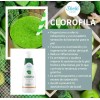 2 Clorofila Líquida Evita Mal Aliento Mejora Digestión