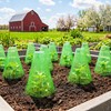 UCandy 30 Pack Garden Cloches for Plants with 60 Stakes,
