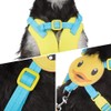 No Pull Dog Harness and Leash Set, Walking Pet Harness