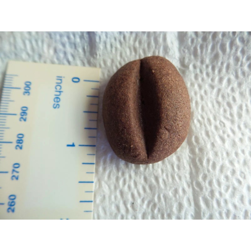 Homemade 30 Coffee Bean Cookies with Starbucks Coffee