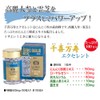 大日ヘルシーフーズ 千喜万寿エクセレント 100粒入×１箱 霊芝 にんにく卵黄 高麗人参 亜鉛 マカ 配合サプリ