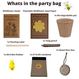 Healthy Family Eco-Friendly Birthday Party Bags - No Plastic, Pre-Filled With Sustainable Gifts, Thank You Bags