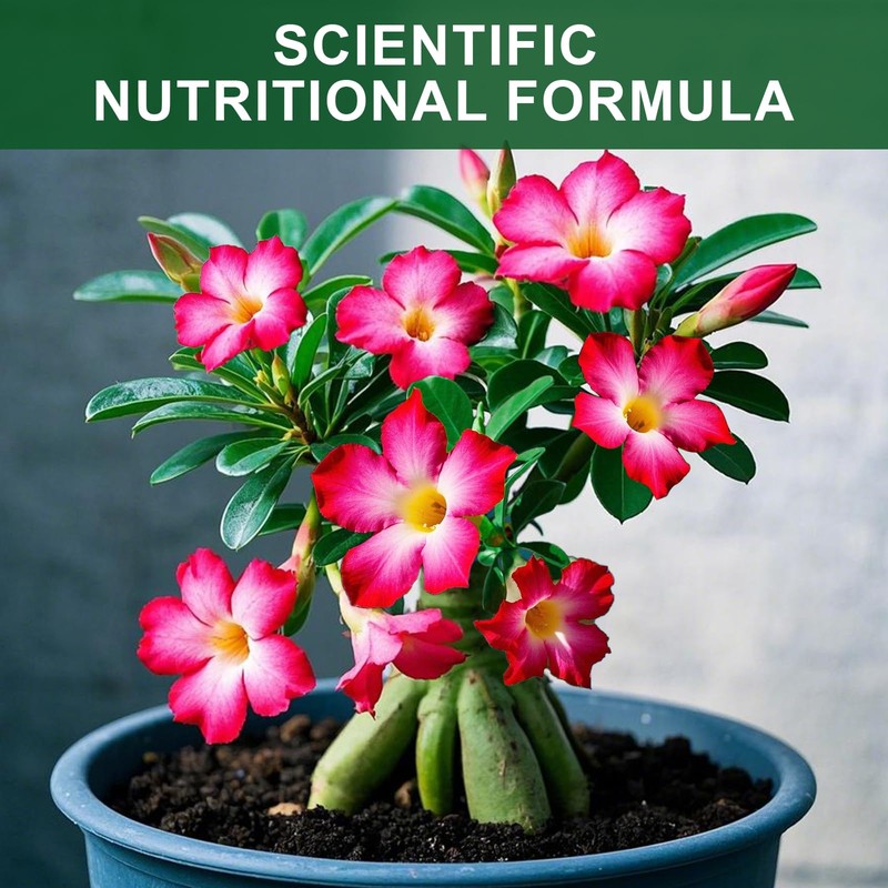 Doter Organic Desert Rose Potting Soil Mix for Healthy Growth