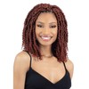 FREE TRESS Shake N Go Synthetic Hair Braids - Large