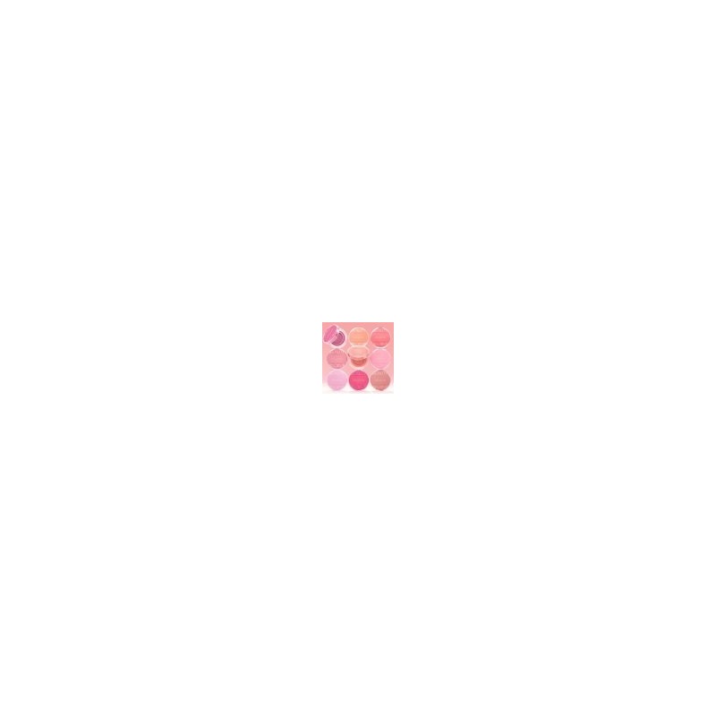 Artist Cushion Blush Duo + Glow Lasting Tint Mini +