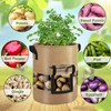 Florelf Visible Potato Grow Bags 10 Gallon with Flap 3-Pack,Potatoes