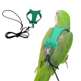 PARREN Bird Flight Harness Vest, Parrot Flight Suit with Leash for Parakeets, Bird Flying Clothes with Rope and Handle for Outdoor Activities Training, Anti Bite (XS), Green