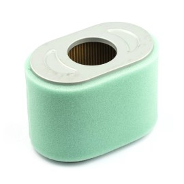 Briggs &amp; Stratton 797032 Briggs & Stratton Air Filter for 19L2 Engines