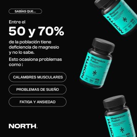 North Magnesio Fusion Glicinato Bisglicinato Metamag Citrato Taurato Treonato Alta Absorción Sueño Reparador Relajación Muscular Enfoque Mental