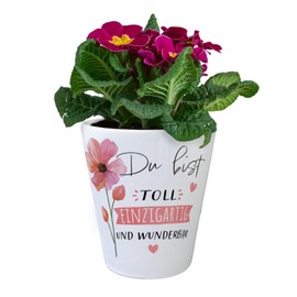 Flower Flower Pot with Saying "Du bist toll Unique and Wonderful Best Friend Mother Sister BFF Ideal as a Congratulations Gift