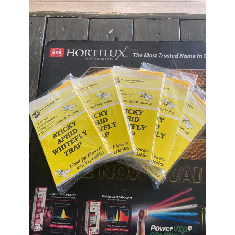 Seabright Labs Insect Sticky Aphid Whitefly Trap 5 PACKS =