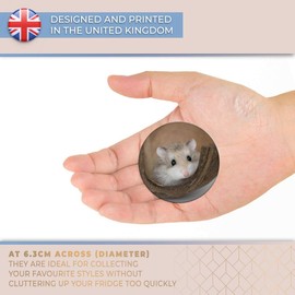 Destination Vinyl ltd Magnet for Refrigerator, Fridge - Cute Little Hamster Gerbil for Office, Cabinet and Whiteboard, Magnetic Stickers, 3340