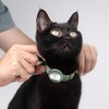 BuddyArmor Cat Airtag Collar, US IDA Gold Award Cat Safety
