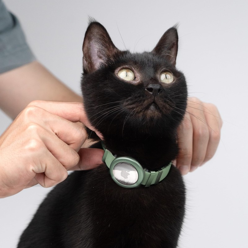 BuddyArmor Cat Airtag Collar, US IDA Gold Award Cat Safety
