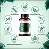MSM 365 Capsules 99.9% Pure Methylsulfonylmethane High Dose & High